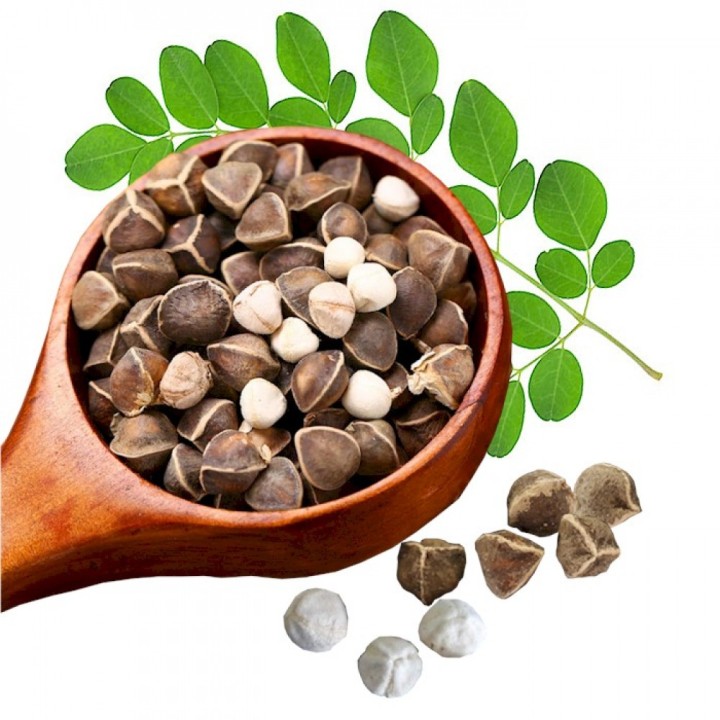 Why you should include moringa in your diet